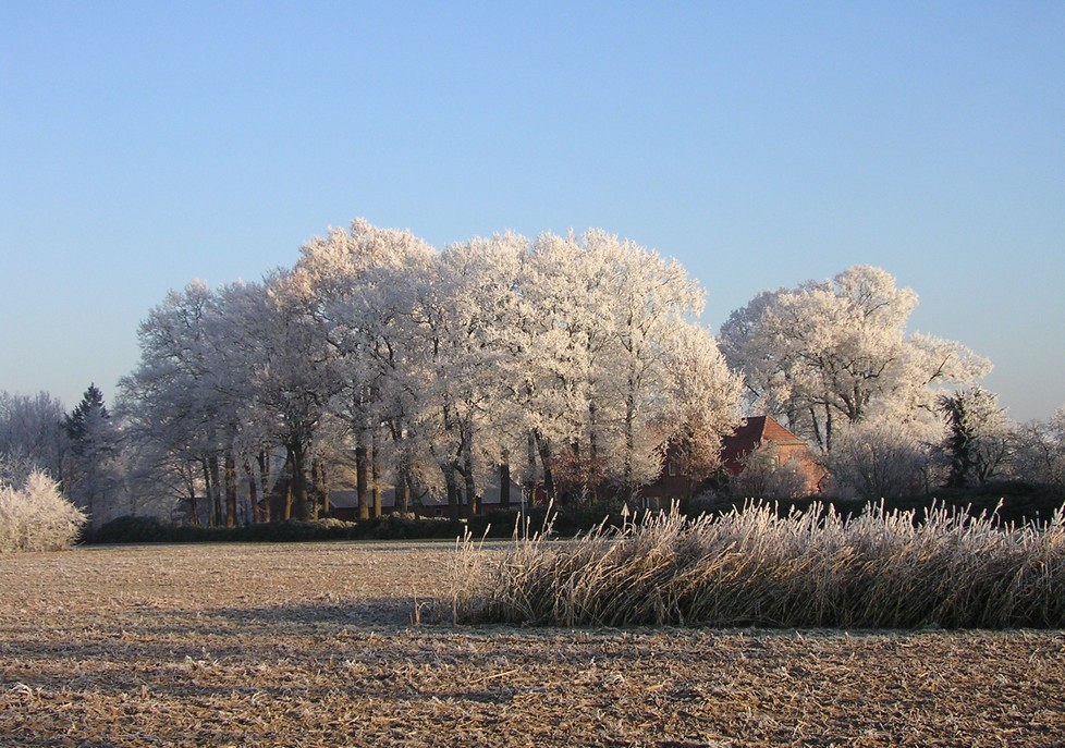 Herbst und Winter in Benstrup